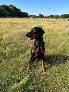 FB_IMG_1696576690374