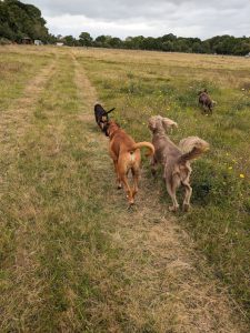 PXL_20230920_123802070